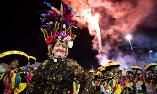 Bloco da Vida e Viradouro desfilam em Volta Redonda neste sábado
